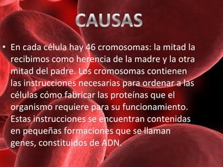 • En cada célula hay 46 cromosomas: la mitad la
recibimos como herencia de la madre y la otra
mitad del padre. Los cromosomas contienen
las instrucciones necesarias para ordenar a las
células cómo fabricar las proteínas que el
organismo requiere para su funcionamiento.
Estas instrucciones se encuentran contenidas
en pequeñas formaciones que se llaman
genes, constituidos de ADN.

 