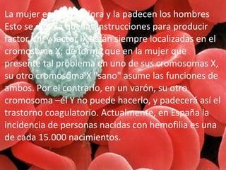 La mujer es la portadora y la padecen los hombres
Esto se debe a que las instrucciones para producir
factor VIII y factor IX están siempre localizadas en el
cromosoma X; de forma que en la mujer que
presente tal problema en uno de sus cromosomas X,
su otro cromosoma X "sano" asume las funciones de
ambos. Por el contrario, en un varón, su otro
cromosoma –él Y no puede hacerlo, y padecerá así el
trastorno coagulatorio. Actualmente, en España la
incidencia de personas nacidas con hemofilia es una
de cada 15.000 nacimientos.

 