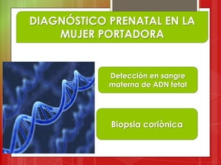 DIAGNÓSTICO PRENATAL EN LA
MUJER PORTADORA
Detección en sangre
materna de ADN fetal
Biopsia coriònica