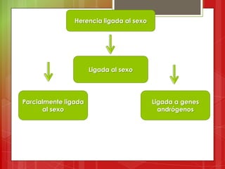 Herencia ligada al sexo
Parcialmente ligada
al sexo
Ligada al sexo
Ligada a genes
andrógenos
 