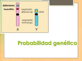 Probabilidad genética
 