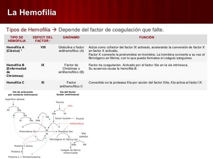 Diferencia Entre Hemofilia Y Enfermedad De Von Willebrand