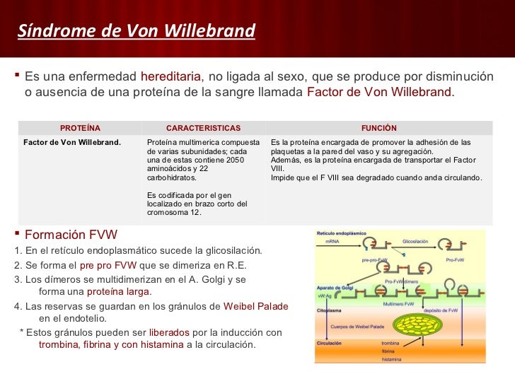 Diferencia Entre Hemofilia Y Enfermedad De Von Willebrand