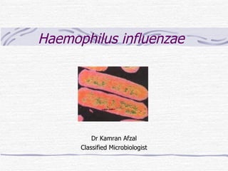 Haemophilus influenzae Dr Kamran Afzal Classified Microbiologist 