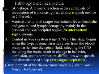 Winterbutton Sign hemoflagellates trypanosomaibrahim 2017.pptx