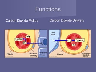 Functions
Carbon Dioxide Pickup Carbon Dioxide Delivery
 