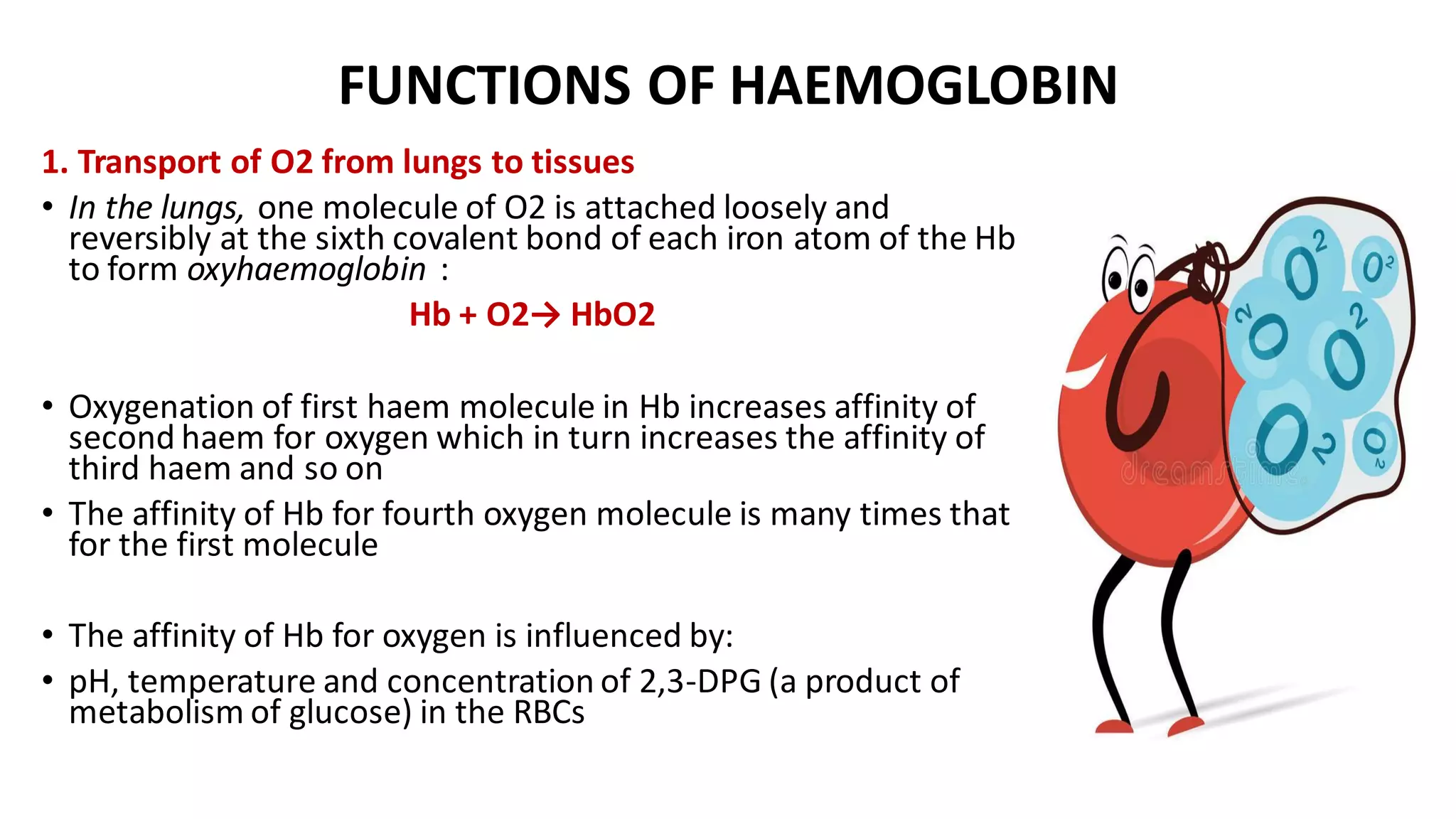 FUNCTIONS OF HAEMOGLOBIN
1. Transport of O2 from lungs to tissues
• In the lungs, one molecule of O2 is attached loosely and
reversibly at the sixth covalent bond of each iron atom of the Hb
to form oxyhaemoglobin :
Hb + O2→ HbO2
• Oxygenation of first haem molecule in Hb increases affinity of
second haem for oxygen which in turn increases the affinity of
third haem and so on
• The affinity of Hb for fourth oxygen molecule is many times that
for the first molecule
• The affinity of Hb for oxygen is influenced by:
• pH, temperature and concentration of 2,3-DPG (a product of
metabolism of glucose) in the RBCs
 