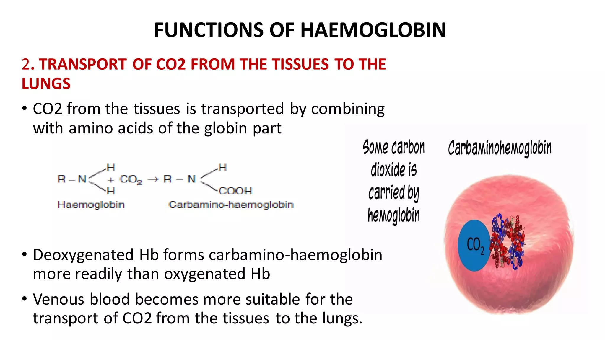 FUNCTIONS OF HAEMOGLOBIN
2. TRANSPORT OF CO2 FROM THE TISSUES TO THE
LUNGS
• CO2 from the tissues is transported by combining
with amino acids of the globin part
• Deoxygenated Hb forms carbamino-haemoglobin
more readily than oxygenated Hb
• Venous blood becomes more suitable for the
transport of CO2 from the tissues to the lungs.
 