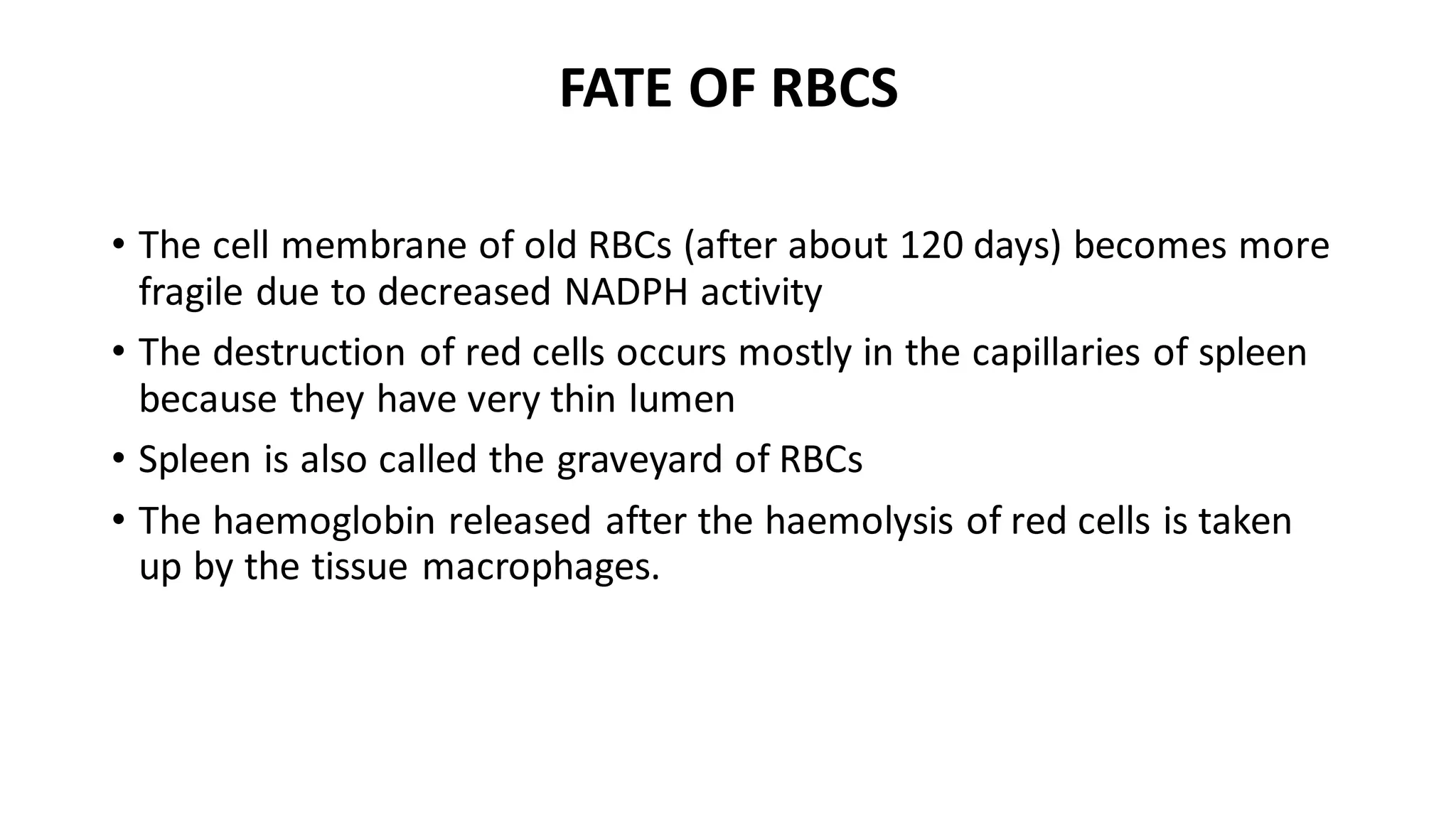FATE OF RBCS
• The cell membrane of old RBCs (after about 120 days) becomes more
fragile due to decreased NADPH activity
• The destruction of red cells occurs mostly in the capillaries of spleen
because they have very thin lumen
• Spleen is also called the graveyard of RBCs
• The haemoglobin released after the haemolysis of red cells is taken
up by the tissue macrophages.
 