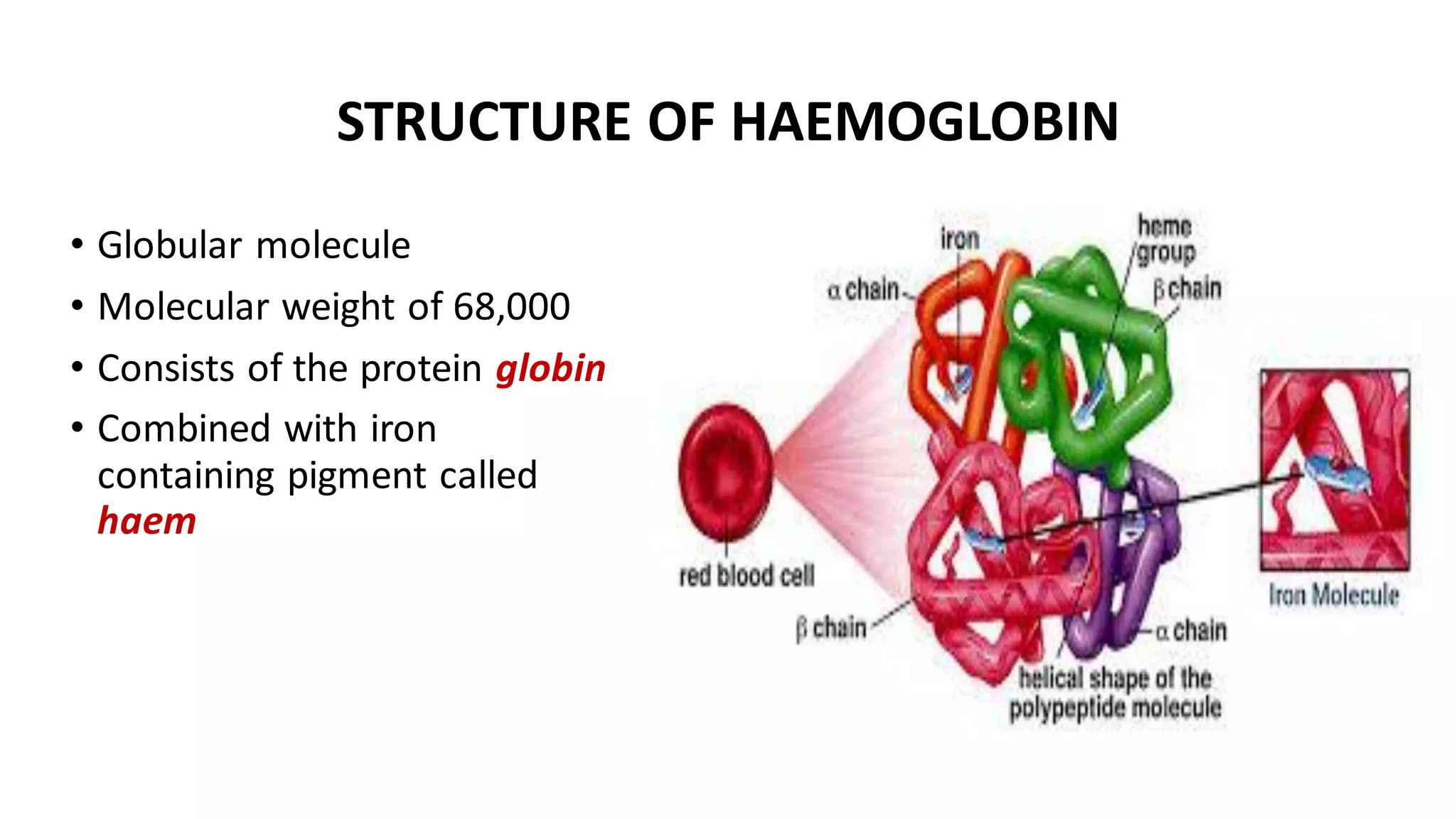 STRUCTURE OF HAEMOGLOBIN
• Globular molecule
• Molecular weight of 68,000
• Consists of the protein globin
• Combined with iron
containing pigment called
haem
 