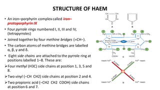 STRUCTURE OF HAEM
• An iron–porphyrin complex called iron–
protoporphyrin IX
• Four pyrrole rings numbered I, II, III and IV,
(tetrapyrroles)
• Joined together by four methine bridges (=CH−).
• The carbon atoms of methine bridges are labelled
α, β, γ and δ.
• Eight side chains are attached to the pyrrole ring at
positions labelled 1–8. These are:
➢Four methyl (H3C) side chains at position 1, 3, 5 and
8.
➢Two vinyl (−CH CH2) side chains at position 2 and 4.
➢Two propionic acid (−CH2 CH2 COOH) side chains
at position 6 and 7.
 