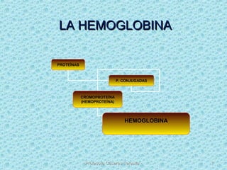 Profesora Cáseres Teresita -Profesora Cáseres Teresita - 11
LA HEMOGLOBINALA HEMOGLOBINA
PROTEÍNAS
P. CONJUGADAS
CROMOPROTEÍNA
(HEMOPROTEÍNA)
HEMOGLOBINA
 