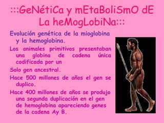 :::GeNétiCa y mEtaBoliSmO dE
      La heMogLobiNa:::
Evolución genética de la mioglobina
  y la hemoglobina.
Los animales primitivos presentaban
  una globina de cadena única
  codificada por un
Solo gen ancestral.
Hace 500 millones de años el gen se
  duplico.
Hace 400 millones de años se produjo
  una segunda duplicación en el gen
  de hemoglobina apareciendo genes
  de la cadena Ay B.
 