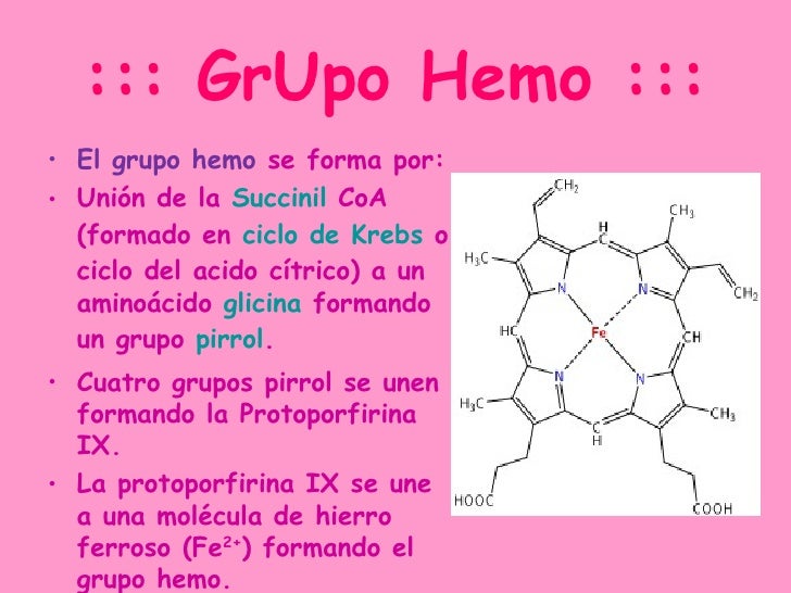 Como Se Forma El Grupo Hemo