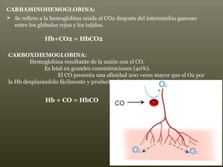 Hb+CO2 = HbCO2
CARBAMINOHEMOGLOBINA:
 Se refiere a la hemoglobina unida al CO2 después del intercambio gaseoso
entre los glóbulos rojos y los tejidos.
CARBOXIHEMOGLOBINA::
Hemoglobina resultante de la unión con el CO.
Es letal en grandes concentraciones (40%).
El CO presenta una afinidad 200 veces mayor que el O2 por
la Hb desplazándolo fácilmente y produciendo hipoxia tisular.
Hb + CO = HbCO
 