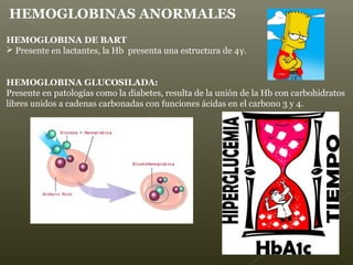 HEMOGLOBINA DE BART
 Presente en lactantes, la Hb presenta una estructura de 4γ.
HEMOGLOBINA GLUCOSILADA:
Presente en patologías como la diabetes, resulta de la unión de la Hb con carbohidratos
libres unidos a cadenas carbonadas con funciones ácidas en el carbono 3 y 4.
HEMOGLOBINAS ANORMALES
 