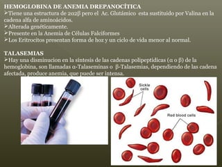 HEMOGLOBINA DE ANEMIA DREPANOCÍTICA
Tiene una estructura de 2α2β pero el Ac. Glutámico esta sustituido por Valina en la
cadena alfa de aminoácidos.
Alterada genéticamente.
Presente en la Anemia de Células Falciformes
Los Eritrocitos presentan forma de hoz y un ciclo de vida menor al normal.
TALASEMIAS
Hay una disminucion en la síntesis de las cadenas polipeptidicas (α o β) de la
hemoglobina, son llamadas α-Talaseminas o β-Talasemias, dependiendo de las cadena
afectada, produce anemia, que puede ser intensa.
 