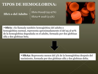 HbA o del Adulto
HbA12α2β (95-97%)
HbA2 2α2δ (3-5%)
HbA1 : Es llamada también hemoglobina del adulto o
hemoglobina normal, representa aproximadamente el del 95 al 97%
de la hemoglobina degradada en el adulto, formada por dos globinas
alfa y dos globinas beta.
HbA1 : Es llamada también hemoglobina del adulto o
hemoglobina normal, representa aproximadamente el del 95 al 97%
de la hemoglobina degradada en el adulto, formada por dos globinas
alfa y dos globinas beta.
HbA2: Representa menos del 5% de la hemoglobina después del
nacimiento, formada por dos globinas alfa y dos globinas delta.
HbA2: Representa menos del 5% de la hemoglobina después del
nacimiento, formada por dos globinas alfa y dos globinas delta.
TIPOS DE HEMOGLOBINA:
 