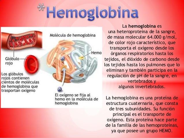 Hemoglobina y Sintesis de la Bilirrubina