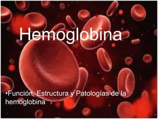 Hemoglobina
•Función, Estructura y Patologías de la
hemoglobina
 