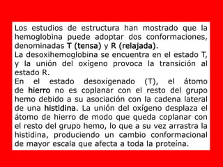 Los estudios de estructura han mostrado que la
hemoglobina puede adoptar dos conformaciones,
denominadas T (tensa) y R (relajada).
La desoxihemoglobina se encuentra en el estado T,
y la unión del oxígeno provoca la transición al
estado R.
En el estado desoxigenado (T), el átomo
de hierro no es coplanar con el resto del grupo
hemo debido a su asociación con la cadena lateral
de una histidina. La unión del oxígeno desplaza el
átomo de hierro de modo que queda coplanar con
el resto del grupo hemo, lo que a su vez arrastra la
histidina, produciendo un cambio conformacional
de mayor escala que afecta a toda la proteína.
 