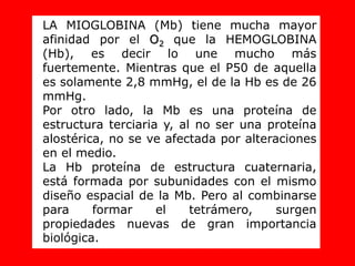 LA MIOGLOBINA (Mb) tiene mucha mayor
afinidad por el O2 que la HEMOGLOBINA
(Hb), es decir lo une mucho más
fuertemente. Mientras que el P50 de aquella
es solamente 2,8 mmHg, el de la Hb es de 26
mmHg.
Por otro lado, la Mb es una proteína de
estructura terciaria y, al no ser una proteína
alostérica, no se ve afectada por alteraciones
en el medio.
La Hb proteína de estructura cuaternaria,
está formada por subunidades con el mismo
diseño espacial de la Mb. Pero al combinarse
para formar el tetrámero, surgen
propiedades nuevas de gran importancia
biológica.
 
