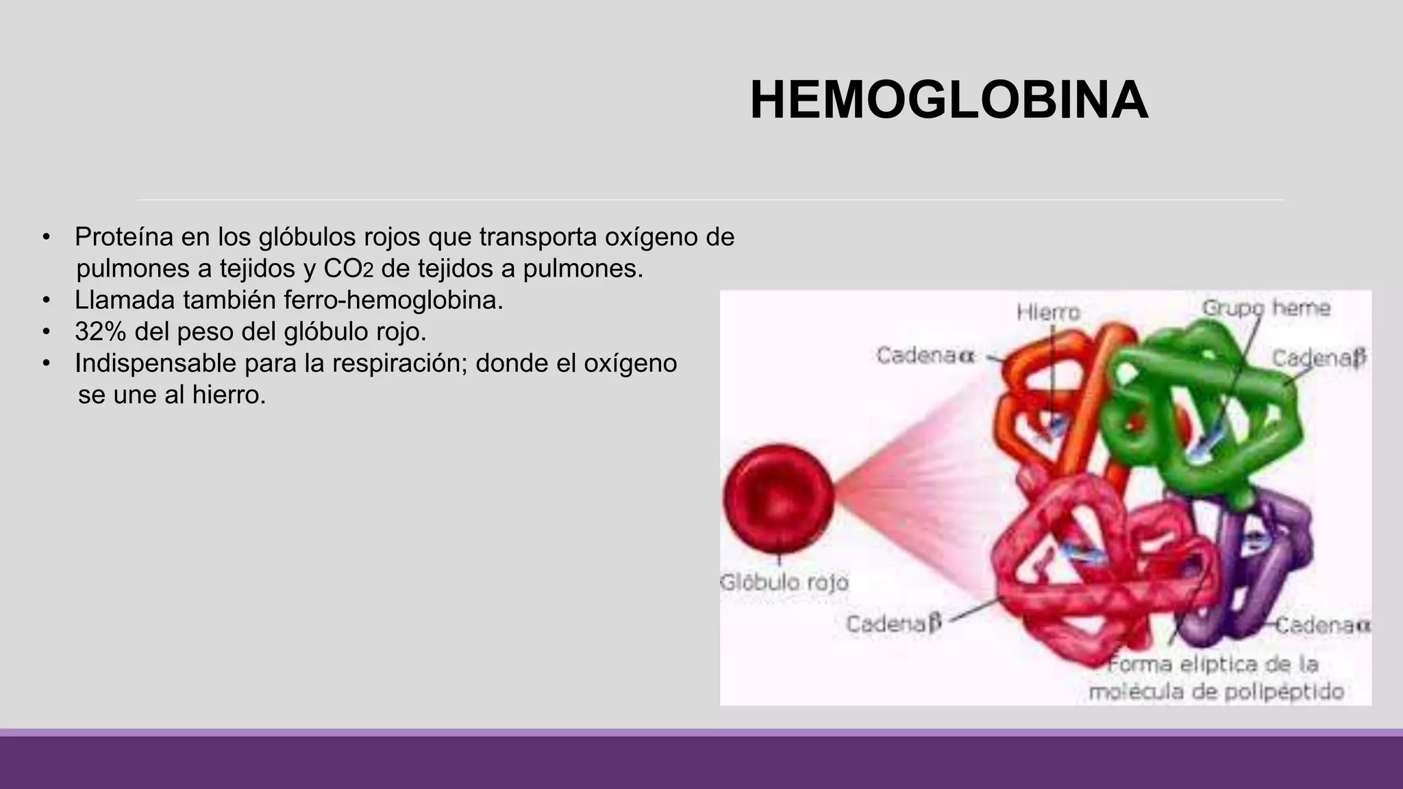Hemoglobina en sangre | PPT
