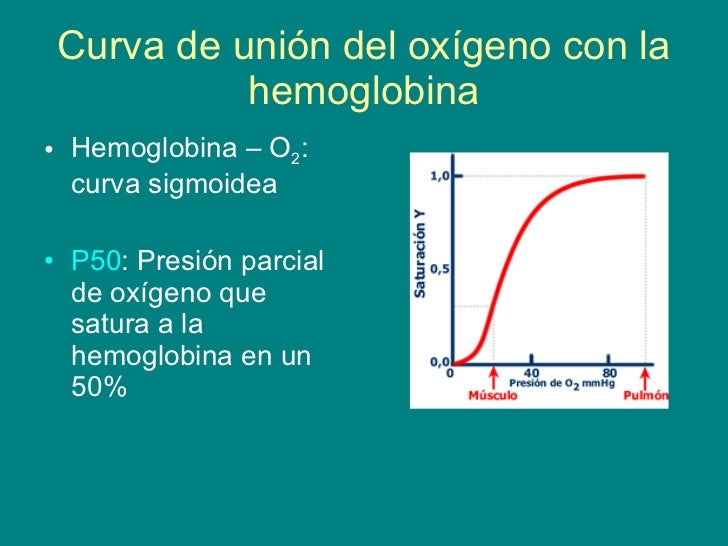 Hemoglobina. Bioquímica. 10'05