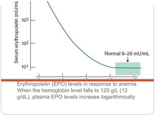 Hemoglobin and erythropoiesis bikal | PPTX