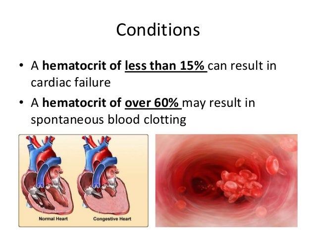 physioex hematocrit determination blood analysis Physioex 11 experiment answers use these booster systems exercise 11: blood analysis: activity 1: hematocrit determination lab report pre- lab quiz results y instructors may pair the lab manual with other technologies such as physioex™ 91, powerlab, vernie. physioex hematocrit determination blood analysis Physioex 11 experiment answers use these booster systems exercise 11: blood analysis: activity 1: hematocrit determination lab report pre- lab quiz results y instructors may pair the lab manual with other technologies such as physioex™ 91, powerlab, vernie.