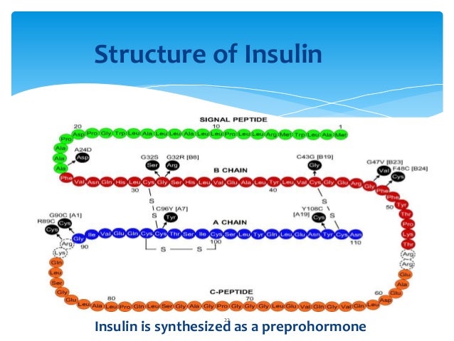 fat control how insulin and Hemoglobin