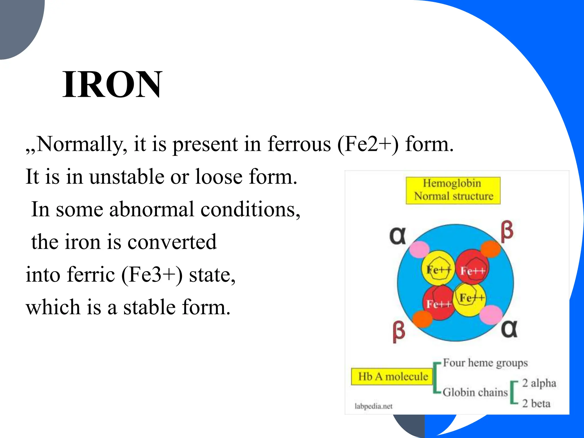 hemoglobin and iron metabolism.pptx