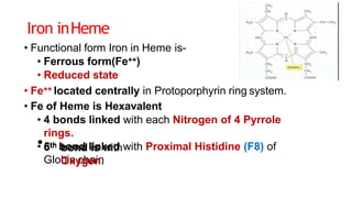 Iron inHeme
• Functional form Iron in Heme is-
• Ferrous form(Fe++)
• Reduced state
• Fe++ located centrally in Protoporphyrin ring system.
• Fe of Heme is Hexavalent
• 4 bonds linked with each Nitrogen of 4 Pyrrole
rings.
• 5th bond linked with Proximal Histidine (F8) of
Globin chain
•6th bond is with
Oxygen.
 
