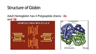 Structure ofGlobin
Adult Hemoglobin has 4 Polypeptide chains : 2α
and 2β
 