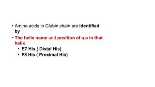 • Amino acids in Globin chain are identified
by
• The helix name and position of a.a in that
helix.
• E7 His ( Distal His)
• F8 His ( Proximal His)
 