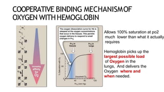 COOPERATIVE BINDING MECHANISMOF
OXYGEN WITHHEMOGLOBIN
Allows 100% saturation at po2
much lower than what it actually
requires
Hemoglobin picks up the
largest possible load
of Oxygen in the
lungs, And delivers the
Oxygen where and
when needed.
 