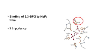 • Binding of 2,3-BPG to HbF:
weak
• ? Importance
 