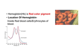 • Hemoglobin(Hb) is Red color pigment
• Location Of Hemoglobin-
Inside Red blood cells/Erythrocytes of
blood.
 