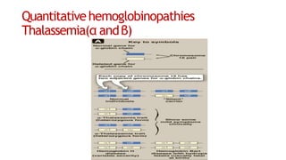 Quantitativehemoglobinopathies
Thalassemia(α andβ)
 