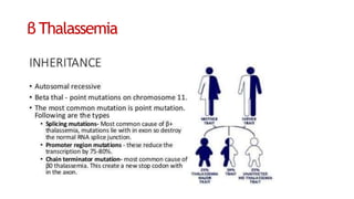 β Thalassemia
 