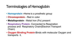 Terminologies ofHemoglobin
• Hemoprotein -Heme is a prosthetic group
• Chromoprotein - Red in color
• Metalloprotein - Metal Iron (Fe) present
• Respiratory Protein- Connected to Respiration
process and Respiratory Chain(Electron Transport
Chain)
• Oxygen Binding Protein-Binds with molecular Oxygen and
transports it.
 