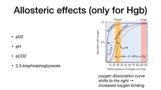Allosteric effects (only for Hgb)
• pO2
• pH
• pCO2
• 2,3-bisphosphoglycerate
oxygen dissociation curve
shifts to the right →
increased oxygen binding
IRS Biochemil'lry.Molecular BiolotJ.and Ge
A
Tissues
10 20 30 40 50 60 70 80 90100
Partial pressure ofoxygen (mm Hg)
RBC
Tissues1 :>00t
FIGURE2
hemoglob
HbA hH
lowerpH
HbAinth
readily. P
wi1h 02 o
 