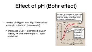 Effect of pH (Bohr effect)
• release of oxygen from Hgb is enhanced
when pH is lowered (more acidic)
• increased CO2 → decreased oxygen
a
ffi
nity → shift to the right → T form
stabilized
Figure 3.8
%
S
aturatio
n
with
O
2
(Y)
Partial pres s ure of oxygen (pO2)
(mm Hg)
0
0
40 80 120
100
pH = 7.2
pH = 7.6
50
2
(Y)
100
pH = 7.6
Decreas e in pH res ults in decreas ed
oxygen affinity of hemoglobin and,
therefore, a s hift to the right in the
oxygen-dis s ociation curve.
40 80 120
pH = 7.2
At lower pH, a
greater pO2 is
required to
achieve any
given oxygen
s aturation.
Figure 3.7
Transport of oxygen and carbon
dioxide by hemoglobin. Fe = iron.
TISSUES
 
