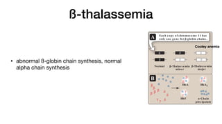ß-thalassemia
• abnormal ß-globin chain synthesis, normal
alpha chain synthesis
Africa expressed as a percentage
of the population with disease.
B. Distribution of malaria
in Africa.
E.
Figure 3.22
A. β-Globin gene mutations in the
β-thalassemias. B. Hemoglobin (Hb)
Normal
β
β
β
β
β
β
β-Thalas s emia
minor
β-Thalas s emia
major
β
β β
β β
β
β
Each copy of chromos ome 11 has
only one gene for β-globin chains .
α-Chain
precipatate
HbA
HbF
A
B
α
β
β
β
β
β
β
β
γ
γ
γ
γ δ
δ
δ
δ
δ
α
α
α
α α
α
HbA2
α
α
α
α
α
α
αα
α α
α
αα
α
α
Cooley anemia
 
