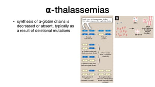 ⍺-thalassemias
• synthesis of α-globin chains is
decreased or absent, typically as
a result of deletional mutations
defective β-globin gene or β-thalassemia major (Cooley anemia) if
both genes are defective (Figure 3.22). Because the β-globin gene
is not expressed until late in fetal gestation, the physical manifes-
tations of β-thalassemias appear only several months after birth.
Those individuals with β-thalassemia minor make some β chains,
and usually do not require specific treatment. However, those
infants born with β-thalassemia major are seemingly healthy at
birth but become severely anemic, usually during the first or sec-
ond year of life due to ineffective erythropoiesis. Skeletal changes
as a result of extramedullary hematopoiesis also are seen.These
patients require regular transfusions of blood. [Note: Although this
treatment is lifesaving, the cumulative effect of the transfusions is
iron overload (a syndrome known as hemosiderosis). Use of iron
chelation therapy has improved morbidity and mortality.] The only
curative option available is hematopoietic stem cell transplantation.
2. α-Thalas s emias : In these disorders, synthesis of α-globin chains
is decreased or absent, typically as a result of deletional muta-
tions. Because each individual’s genome contains four copies
of the α-globin gene (two on each chromosome 16), there are
several levels of α-globin chain deficiencies (Figure 3.23). If one
of the four genes is defective, the individual is termed a silent car-
rier of α-thalassemia, because no physical manifestations of the
disease occur. If two α-globin genes are defective, the individual is
designated as having α-thalassemia trait. If three α-globin genes
are defective, the individual has hemoglobin H (β4) disease, a
hemolytic anemia of variable severity. If all four α-globin genes are
defective, hemoglobin Bart (γ4) disease with hydrops fetalis and
fetal death results, because α-globin chains are required for the
synthesis of HbF.
V. CHAPTER SUMMARY
Hemoglobin A (HbA), the major hemoglobin (Hb) in adults, is com-
posed of four polypeptide chains (two α chains and two β chains, α2β2)
held together by noncovalent interactions (Figure 3.24). The subunits
α-Thalas s emia trait
(heterozygous form)
α-Thalas s emia trait
(heterozygous form)
Hemoglobin H
dis eas e
(variable s everity)
Hemoglobin Bart
dis eas e with hydrops
fetalis (us ually fatal
at birth)
Normal
individuals
"Silent"
carrier
Chromos ome
16 pair
Deleted gene for
α-globin chain
Show s ome
mild s ymptoms
clinically
α1
α1
α2
α2
α1
α1
α2
α2
α1
α1
α1
α1
α2
α2
α1
α1
α2
α2
α2
α2
α1
α1
α2
α2
α1
1 α2 α1 α2
Each copy of chromos ome 16 has
two adjacent genes for α-globin chains .
B β β
β
α
V. CHAPTER SUMMARY
Hemoglobin A (HbA), the major hemoglobin (Hb) in adults, is com-
posed of four polypeptide chains (two α chains and two β chains, α2β2)
held together by noncovalent interactions (Figure 3.24). The subunits
occupy different relative positions in deoxyhemoglobin compared with
oxyhemoglobin. The deoxy form of Hb is called the “T,” or taut (tens e)
conformation. It has a constrained structure that limits the movement
of the polypeptide chains. The T form is the low-oxygen-affinity form
of Hb. The binding of O2 to Hb causes rupture of some of the ionic and
hydrogen bonds, and movement of the dimers. This leads to a structure
called the “R,” or relaxed conformation. The R form is the high-oxygen-
affinity form of Hb. The oxygen-dis s ociation curve for Hb is s igmoidal
in shape (in contrast to that of myoglobin, which is hyperbolic), indicat-
ing that the subunits cooperate in binding O2. Cooperative binding of
O2 by the four subunits of Hb means that the binding of an O2 molecule
at one heme group increases the oxygen affinity of the remaining heme
groups in the same Hb molecule. Hb’s ability to bind O2 revers ibly is
Figure 3.23
Hemoglobin H
dis eas e
(variable s everity)
Hemoglobin Bart
dis eas e with hydrops
fetalis (us ually fatal
at birth)
α1
α1
α2
α2
α1
α1
α2
α2
HbA
B
α
β β
β
β β
β
β
β β
β β
β β
β β
β β
β β
β β
β
β
γ
γ
γ
δ
δ
α
α
HbH
(precipitates
forming
Heinz
bodies )
α
A. α-Globin gene deletions in the
α-thalassemias. B. Hemoglobin (Hb)
tetramers formed in α-thalassemias.
Hb Bart
γ
γ
γ
γ
 