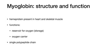 Myoglobin: structure and function
• hemeprotein present in heart and skeletal muscle
• functions:
• reservoir for oxygen (storage)
• oxygen carrier
• single polypeptide chain
 