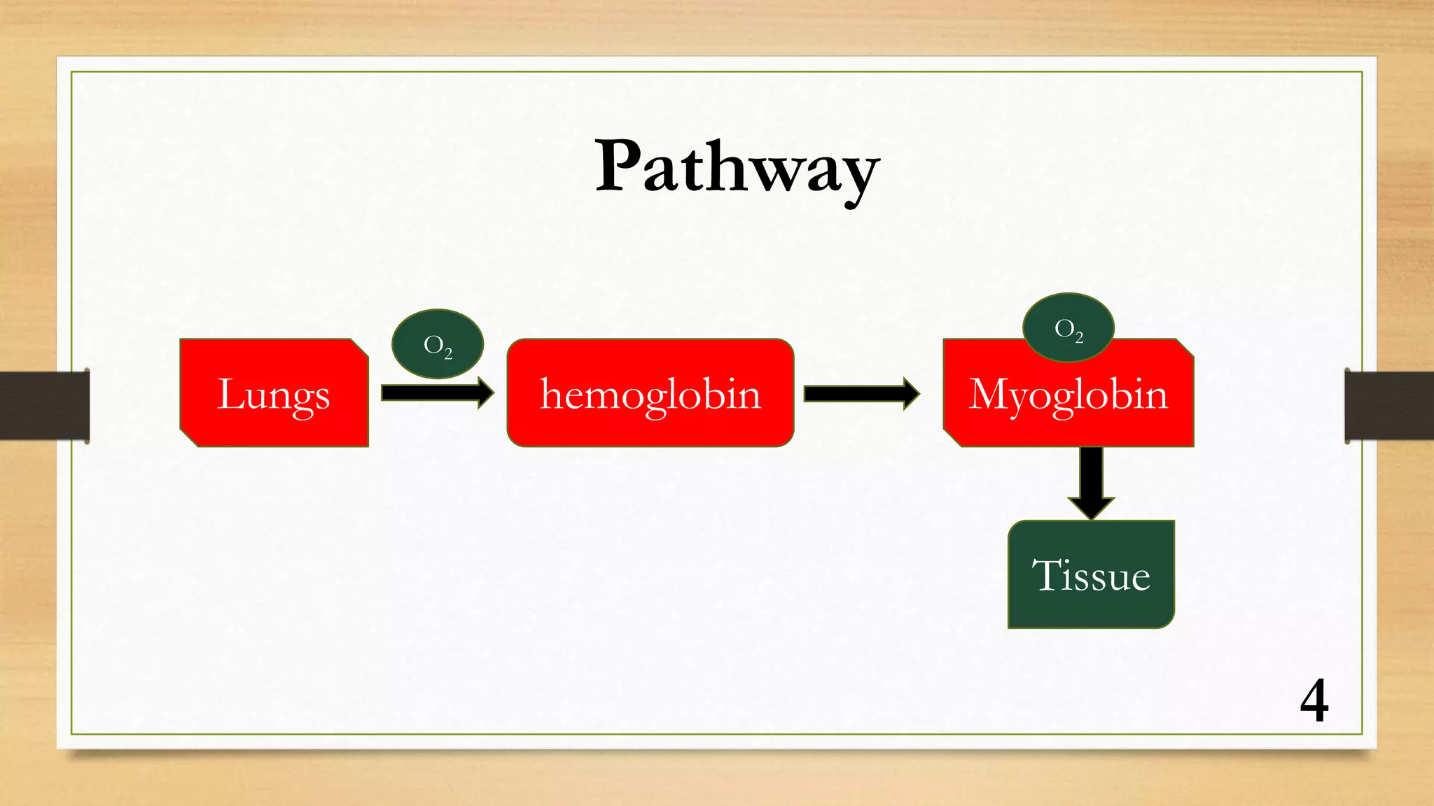 4
Pathway
Lungs hemoglobin Myoglobin
O2
O2
Tissue
 
