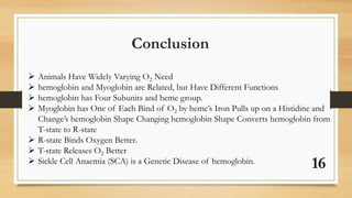 16
Conclusion
 Animals Have Widely Varying O2 Need
 hemoglobin and Myoglobin are Related, but Have Different Functions
 hemoglobin has Four Subunits and heme group.
 Myoglobin has One of Each Bind of O2 by heme’s Iron Pulls up on a Histidine and
Change’s hemoglobin Shape Changing hemoglobin Shape Converts hemoglobin from
T-state to R-state
 R-state Binds Oxygen Better.
 T-state Releases O2 Better
 Sickle Cell Anaemia (SCA) is a Genetic Disease of hemoglobin.
 