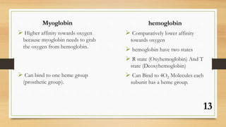Hemoglobin and myoglobin | PPT