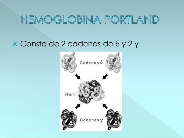 Hemoglobina presentacion